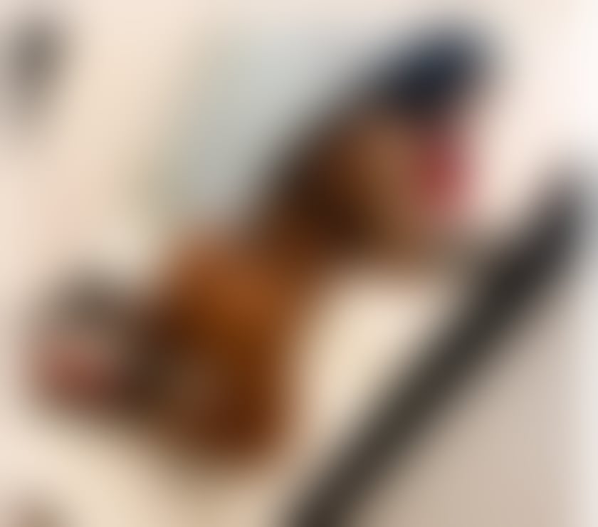 Hello i am Adelle just come in yours town❌party❤☎️