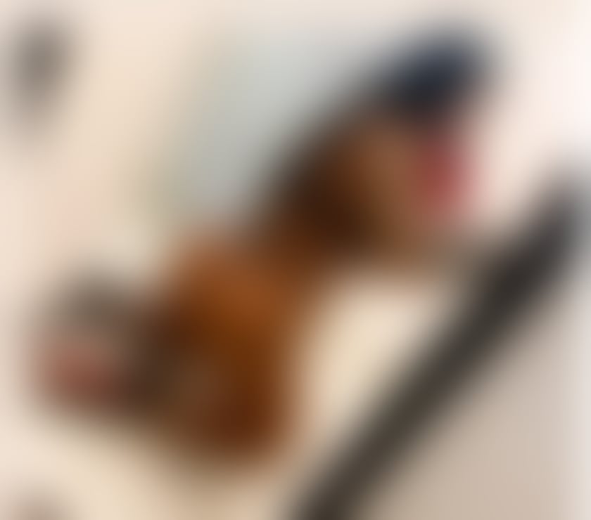 Escorts Hasland Chesterfield - Photos for Hello i am Adelle just come in yours town❌party❤☎️