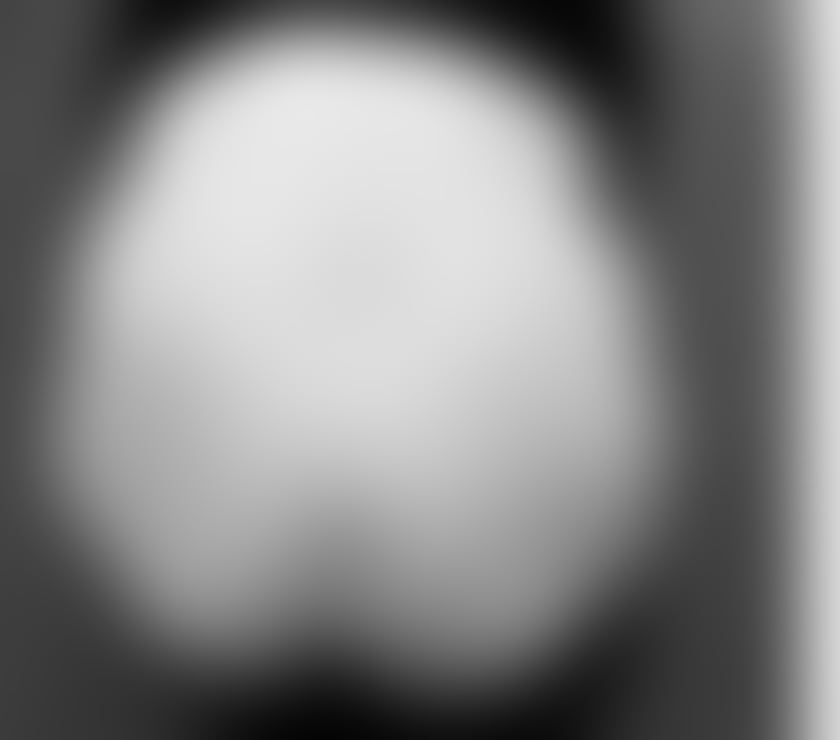 Escorts Somerset Taunton - Somerset - Photos for Trained mistress ready to dominate