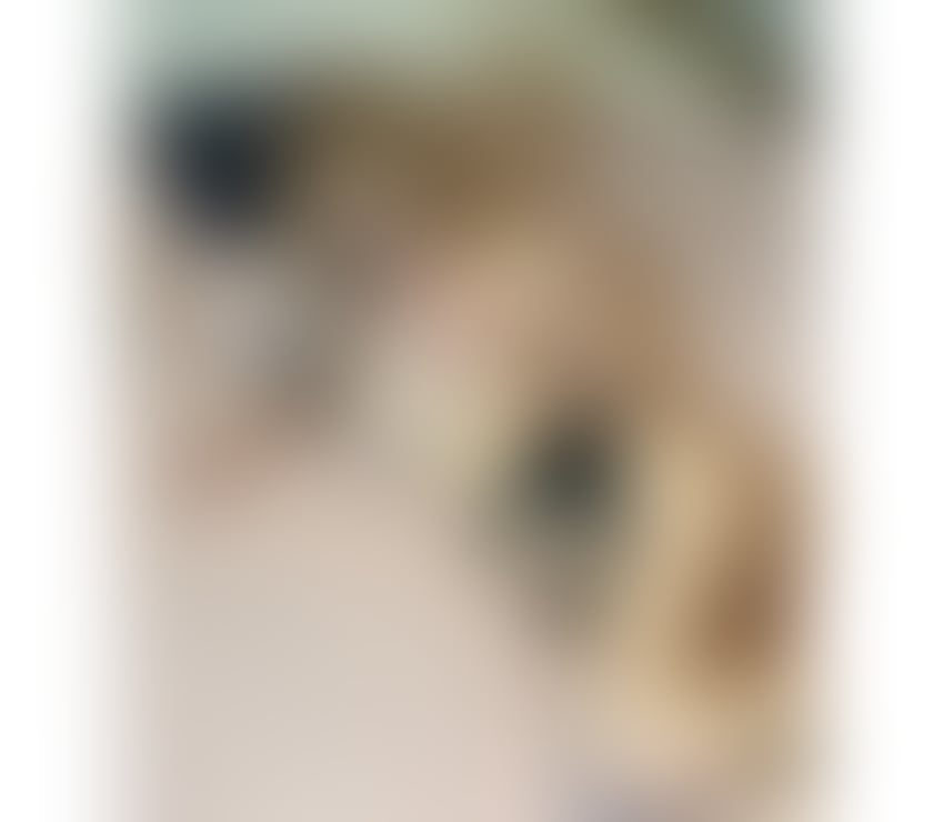 Escorts and Massages Brighton City Centre Brighton - Photos for Andra im new in the town