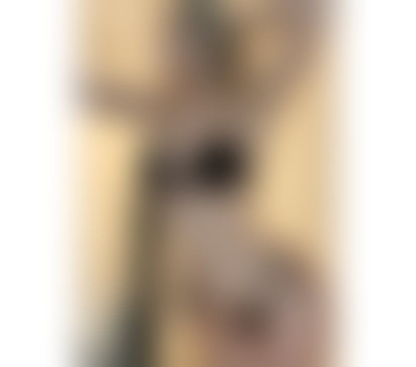 Sex alina new on the town