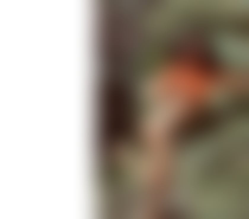 Escorts Cornwall Falmouth - Cornwall - Photos for 💋ELISSA💋 EXOTIC HOT LATINA🔥💯 NEW IN CORNWALL