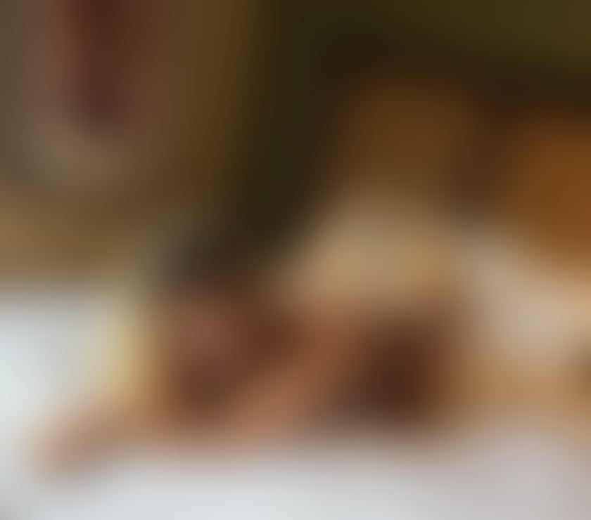 Escorts Halton Widnes - Halton - Photos for I'm Misha new girl in town ♥️