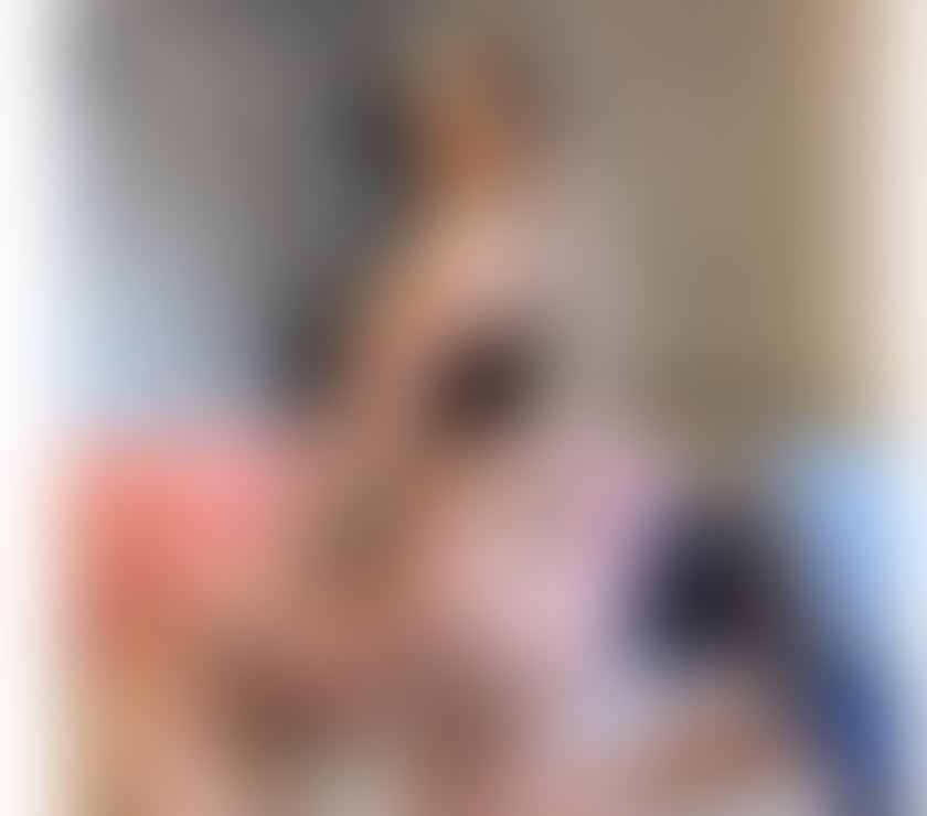 Escorts Merseyside Saint Helens - Photos for I'm Jasmin new girl in town ♥️