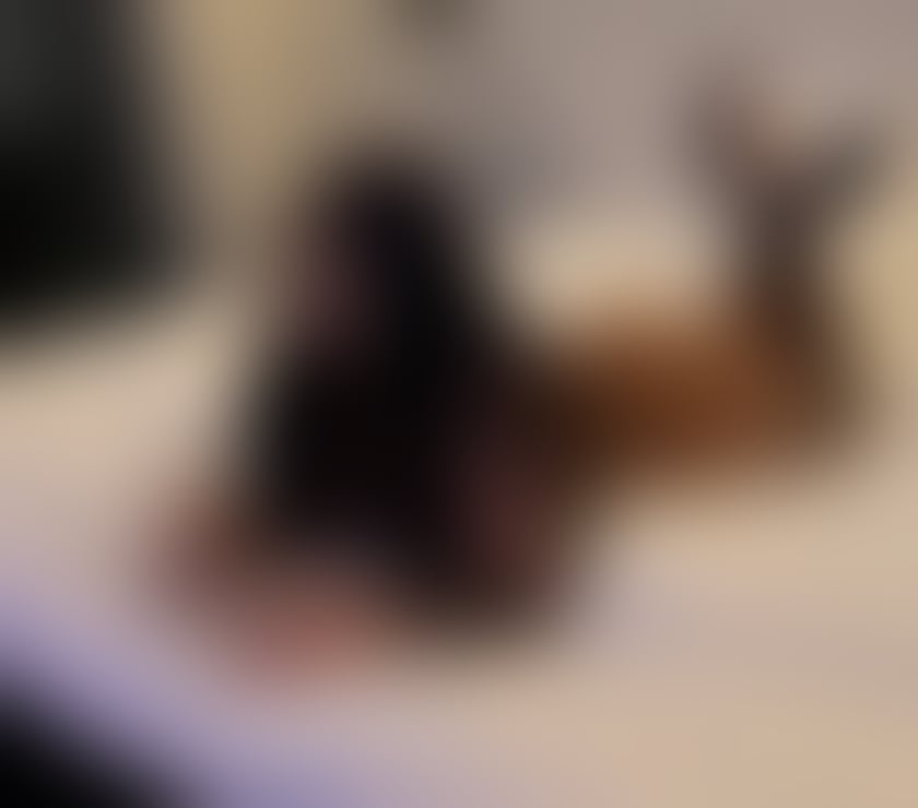 Escorts Buckinghamshire Milton Keynes - Photos for LORE NEW GIRL ! GFE ❤️ INCALL OUTCALL !