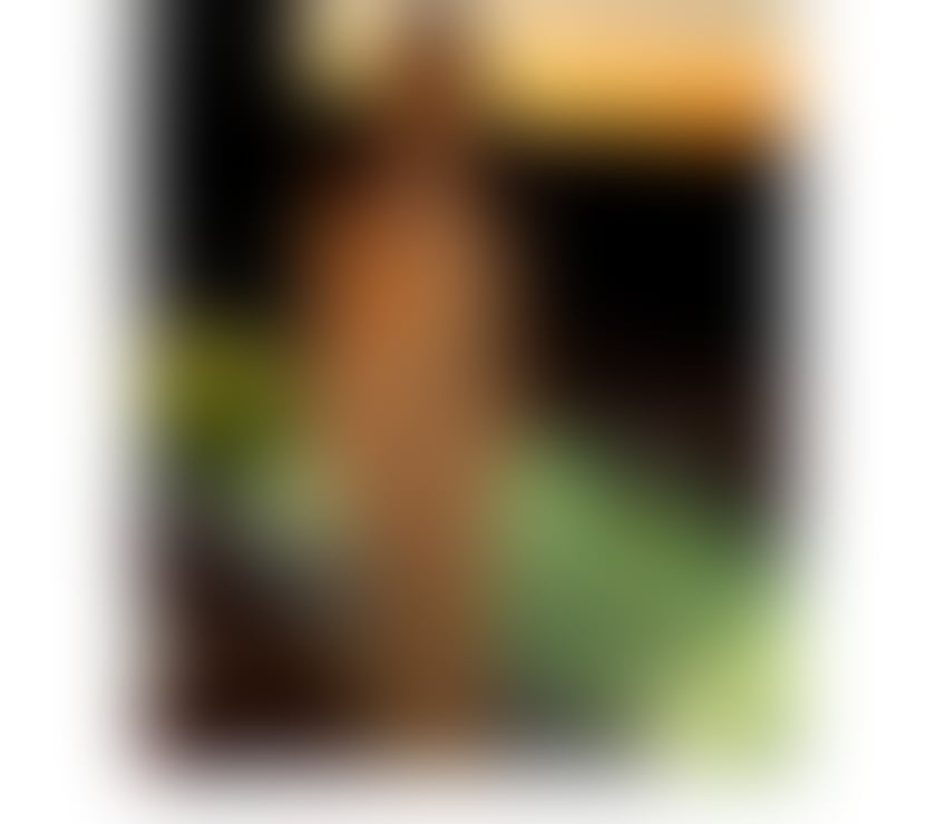 Escorts Lancashire Preston - Photos for Laura New in Town ‼️ Real Photos 🎉 best gfe