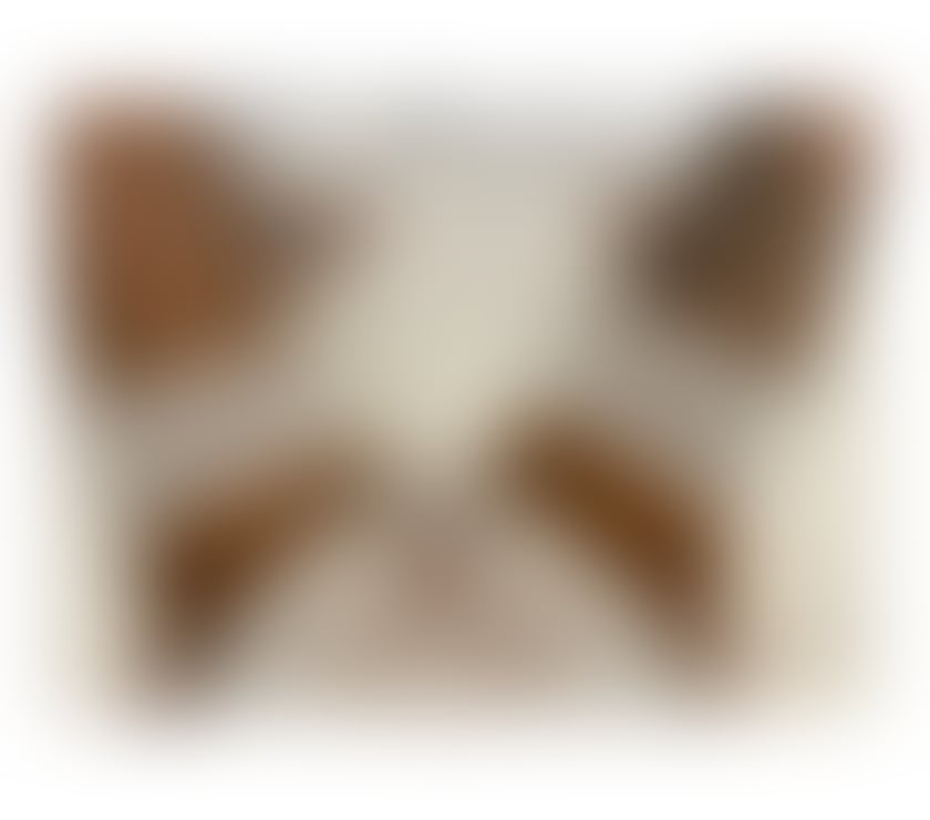 Escorts Greater Manchester Manchester - Photos for Tilly💋 Sexy brunette 💋