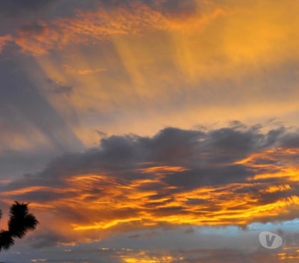 adult personals Westcliff-on-Sea Southend-on-Sea - Photos for Hello dear, nice to meet you