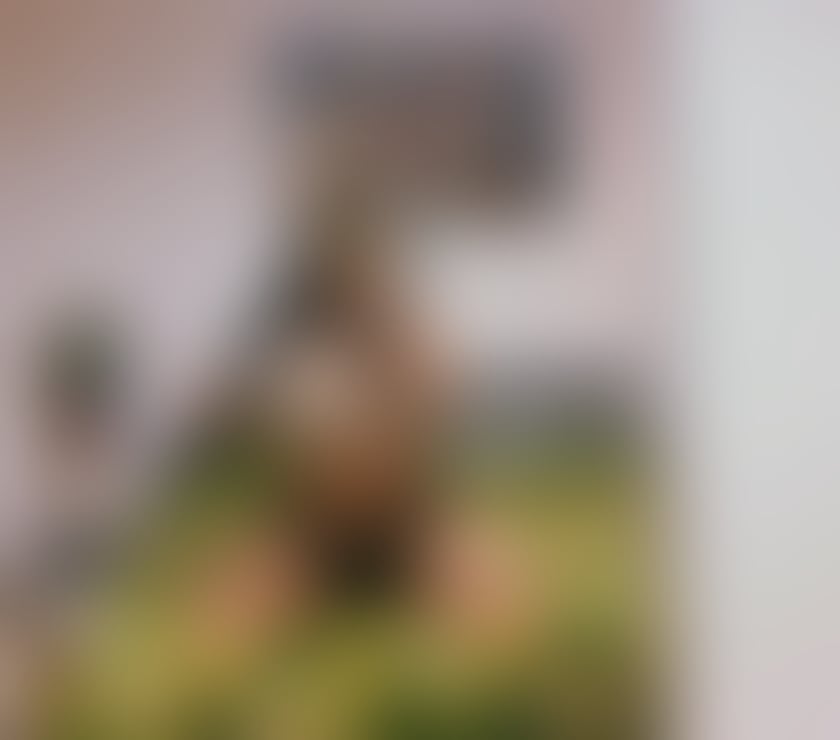 Escorts Cross Green Leeds - Photos for Maya❤️new👄 party girls🍑💦best service