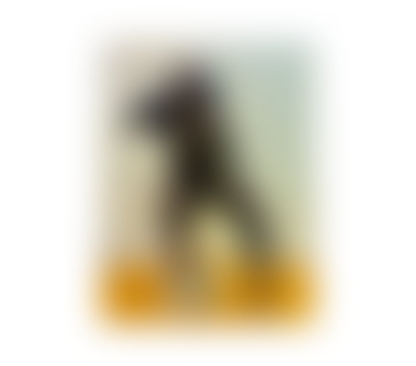 Escorts Leicestershire Hinckley and Bosworth - Photos for JennyDrip (100% PHOTOS)❤️🥰