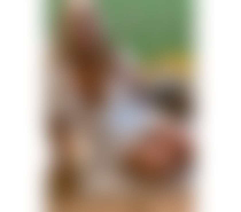 Escorts Bracknell Forest Bracknell - Bracknell Forest - Photos for Magiclondon69 Milf Bracknell 😊☝🏻😍