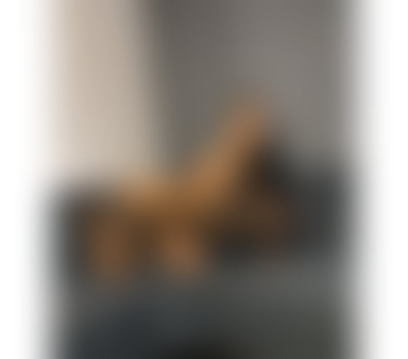 Escorts Weston-Super-Mare North Somerset - Photos for 💚Lizz💚 Fantasy 🫦💚GFE 😋 owo💦💦💚