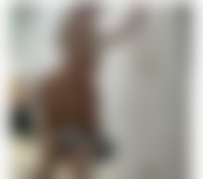 Escorts West Midlands Sandwell - Photos for Outcall Only🥰 Lovely