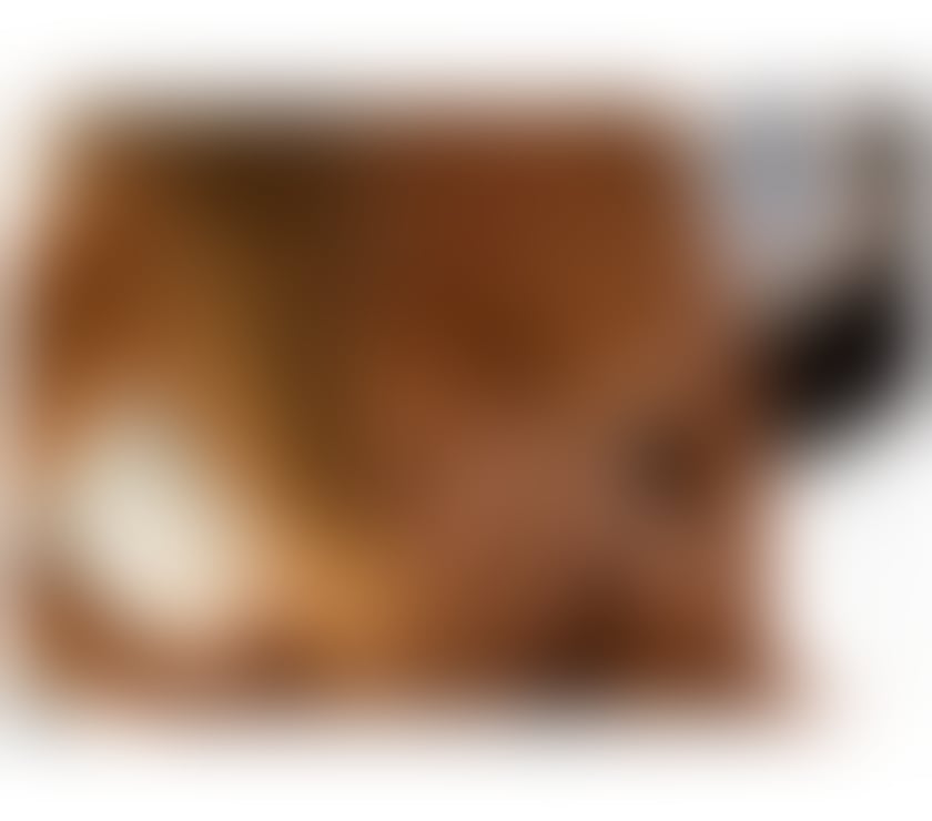 Escorts East London Woodford - East London - Photos for Bárbara ✨ Brazilian 🇧🇷 Party Girl