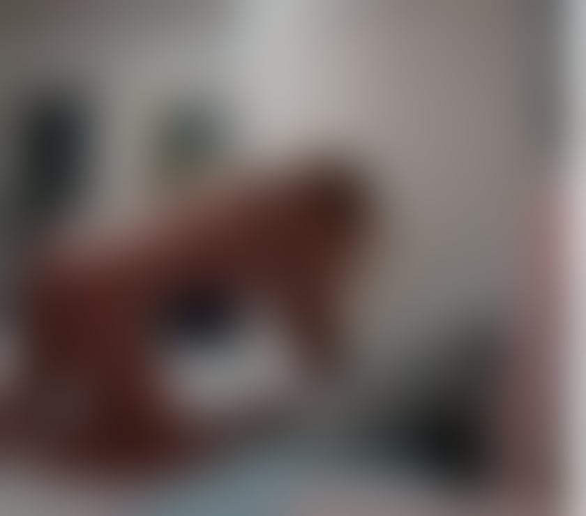 Escorts Highland Inverness - Highland - Photos for Experience Mature Woman, Sexy Curves