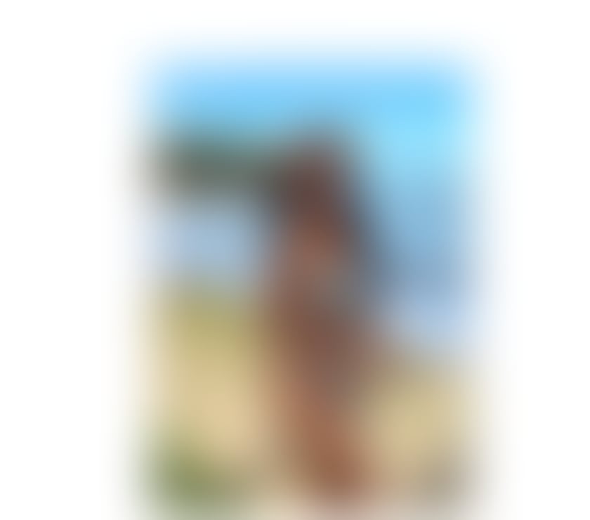 Escorts Brent North Wembley Station - Brent - Photos for 🔥🔥BRAZILIAN GIRLS SEXY NEW HERE🔥🔥