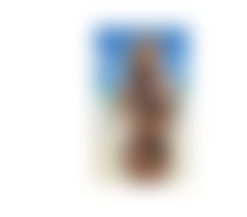 Escorts Lincolnshire North Lincolnshire - Photos for Brazilian Girl 🇧🇷 gfe🍆💦Owo