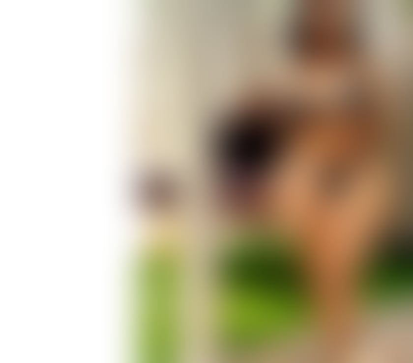 Elara — The Calm Before Your Favorite Storm ⚡💖