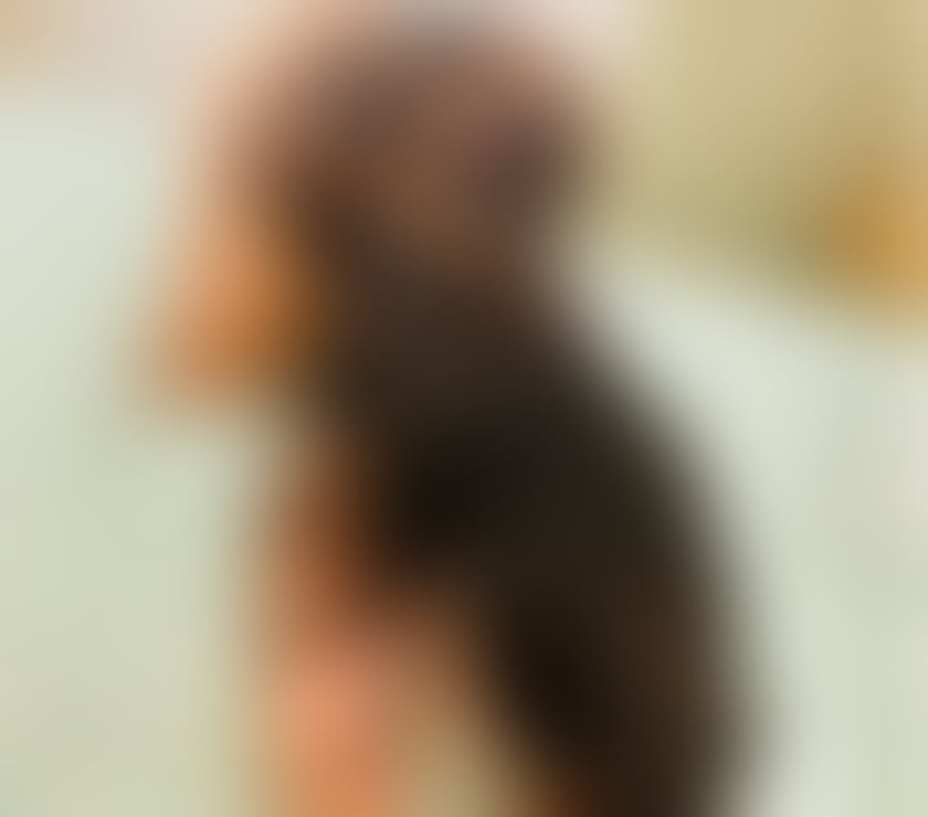 Escorts South East London New Cross Gate Station - South East London - Photos for karina new in town sexy latin 24 7