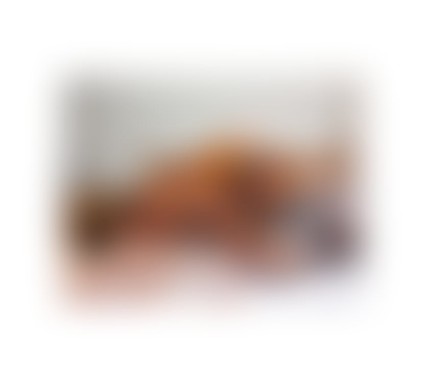 Trans Escorts West Northamptonshire Northampton - West Northamptonshire - Photos for 🇧🇷TS BLACK MODEL🇧🇷