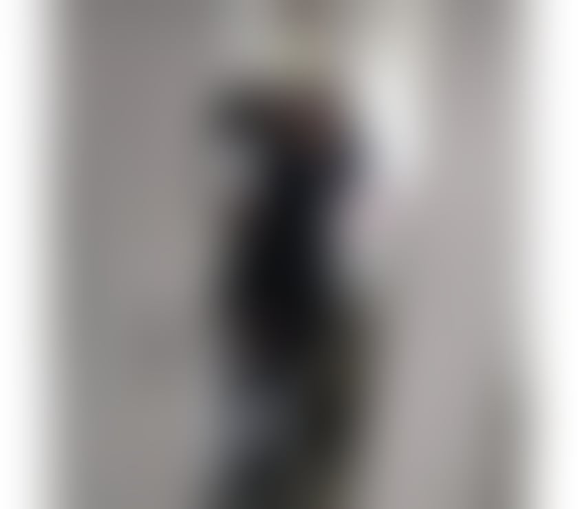 Escorts Kent Dartford - Photos for Hi Guys is Zita 🥂🥂