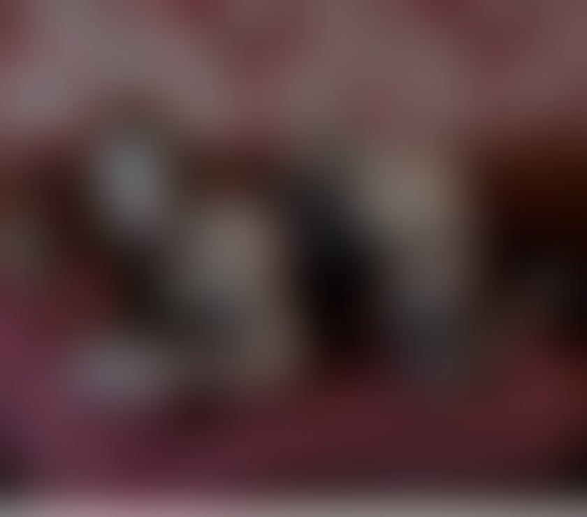 Trans Escorts Derbyshire Derby - Photos for TS CYNTHIA🔥😈super hot and sexy