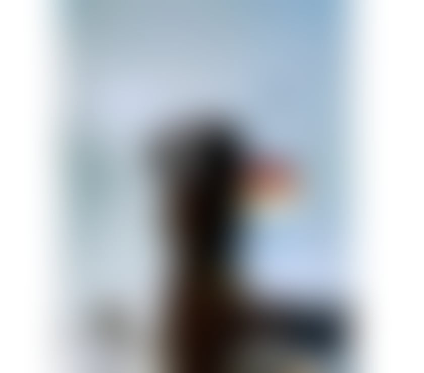 Escorts West Midlands Coventry - Photos for Brazilian Girl🫦🔥📞Let's Party Bbe🥂🍭🔥