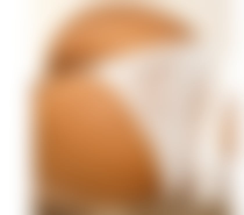 Escorts Leicestershire Leicester - Photos for LadyBoy Perola Brazilian Party