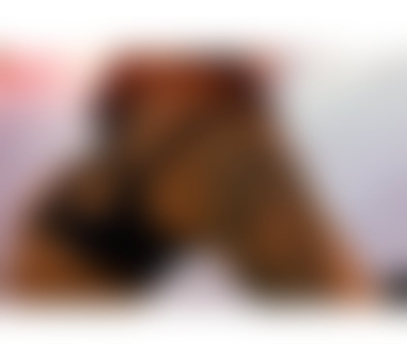 Escorts North London Bruce Grove Station - North London - Photos for Paloma🇧🇷 BRAZILIAN PARTY GIRL 🎉 ❤️‍🔥