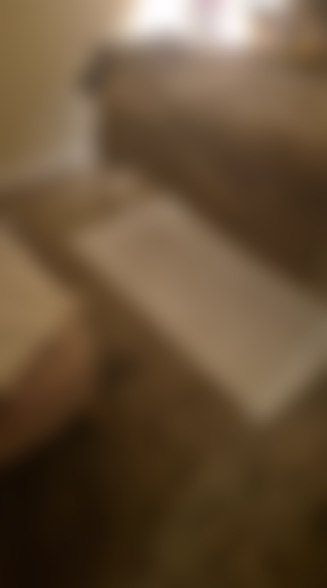 Escorts Worcestershire Bromsgrove - 