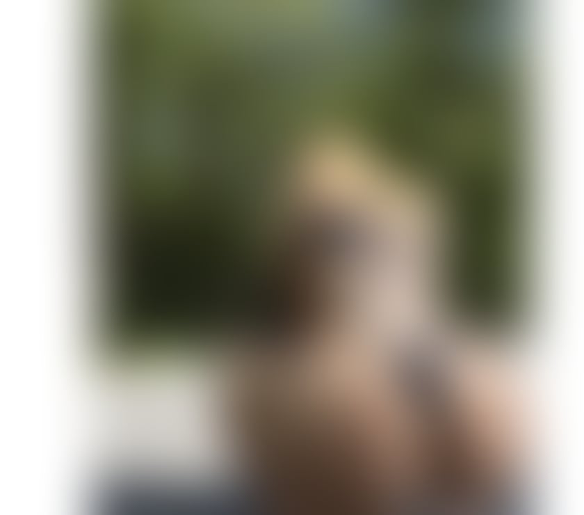 Escorts Buckinghamshire High Wycombe - Buckinghamshire - Photos for CAMILLA 🇧🇷 BIG ASS 🍑♥️