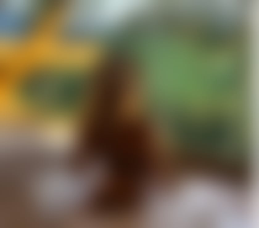 Escorts West London Hillingdon - Photos for Hey Im Mia🎉 Your New Party👠Lady🎊