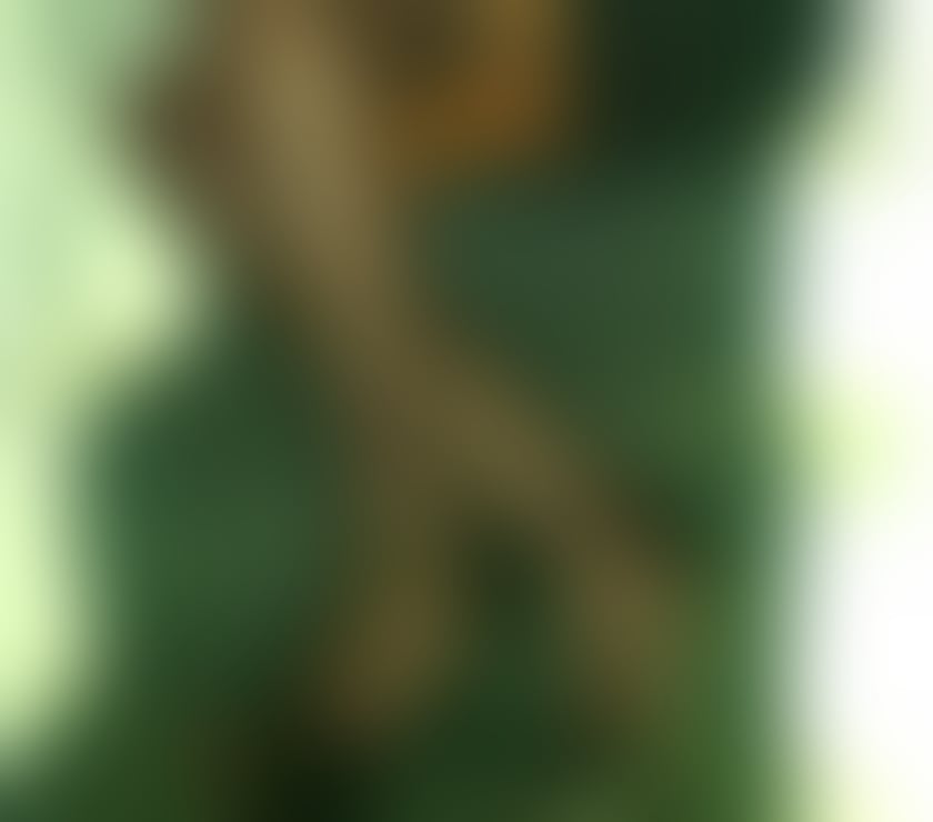 Escorts Tyne and Wear Sunderland - Photos for Allure K Busty ,Elegant Mature Hot Lady