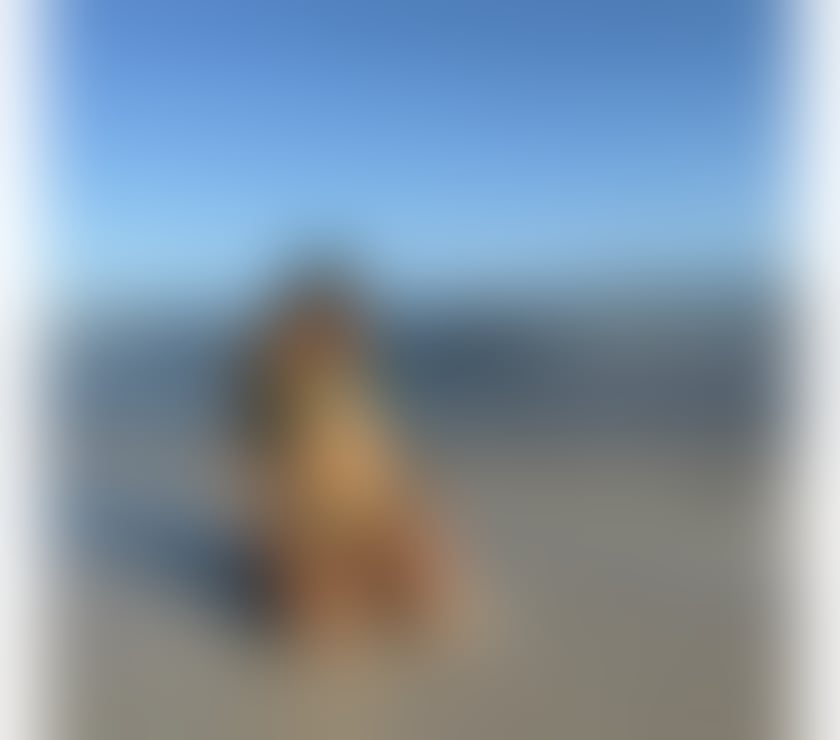 Escorts County of Herefordshire Hereford - County of Herefordshire - Photos for Agatha VIP❗High Class & Perfect Body🥂Party Girl