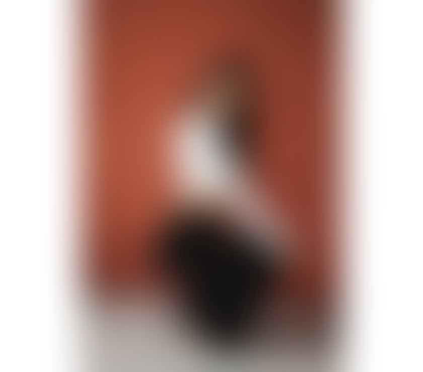 Escorts Somerset North Somerset - Photos for 😍ONLY OUTCALL😍