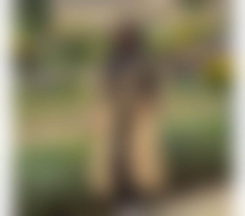 Escorts South Yorkshire Sheffield - Photos for New 🍒 GORGEOUS LATINA ESCORT🔥PORN STAR🔥PARTY💦