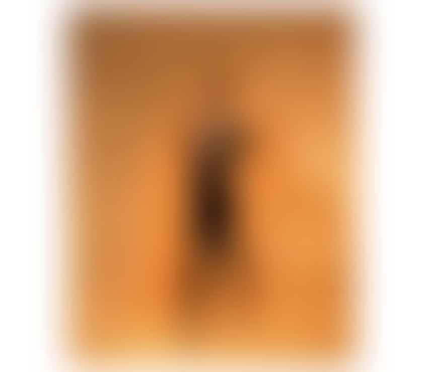 Trans Escorts South West London Earls Court - South West London - Photos for THE BEST PAMELLA HORSE