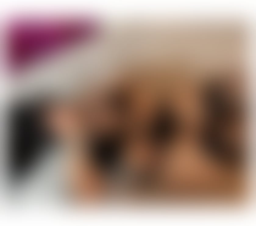 Escorts and Massages Brighton City Centre Brighton - Photos for Queen of BJ 🤤😈100% real