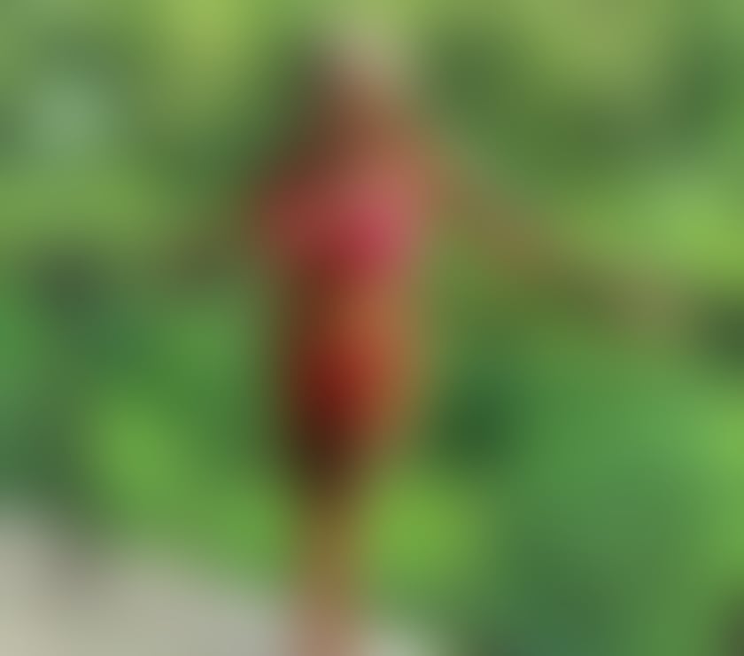 Escorts Staffordshire Tamworth - Photos for ❤️Luxury Kaleena❤️Real pics ❤️