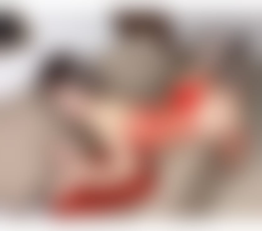 Trans Escorts South West London Earls Court - South West London - Photos for NEW VIP TS ESCORT ANDREINA OFARELL IN TOWN NOW