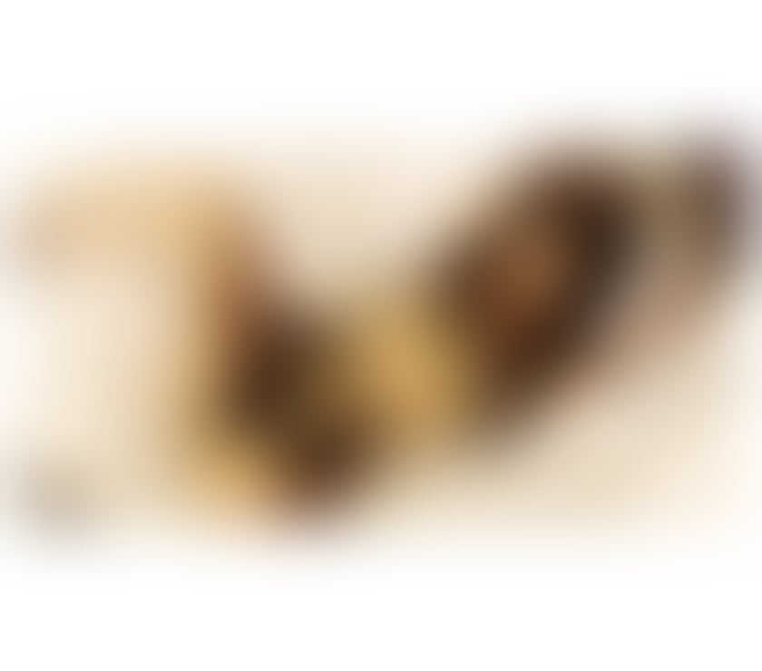 Melissa NEW LADY IN HARROW WEMBLEY KENTON KINGSBURY