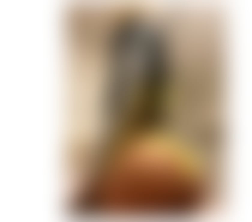 Trans Escorts Nottinghamshire Nottingham - Photos for Hola for few days here, fill me whit you milk