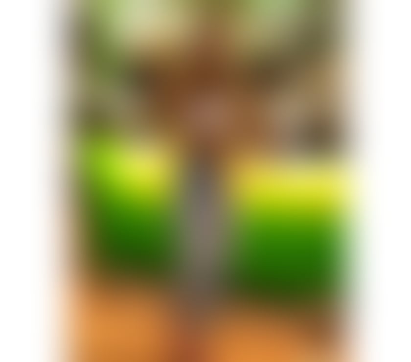 Escorts West Midlands Birmingham - Photos for 💎🔥 Zoe Brazilian luxury escort 💎🔥