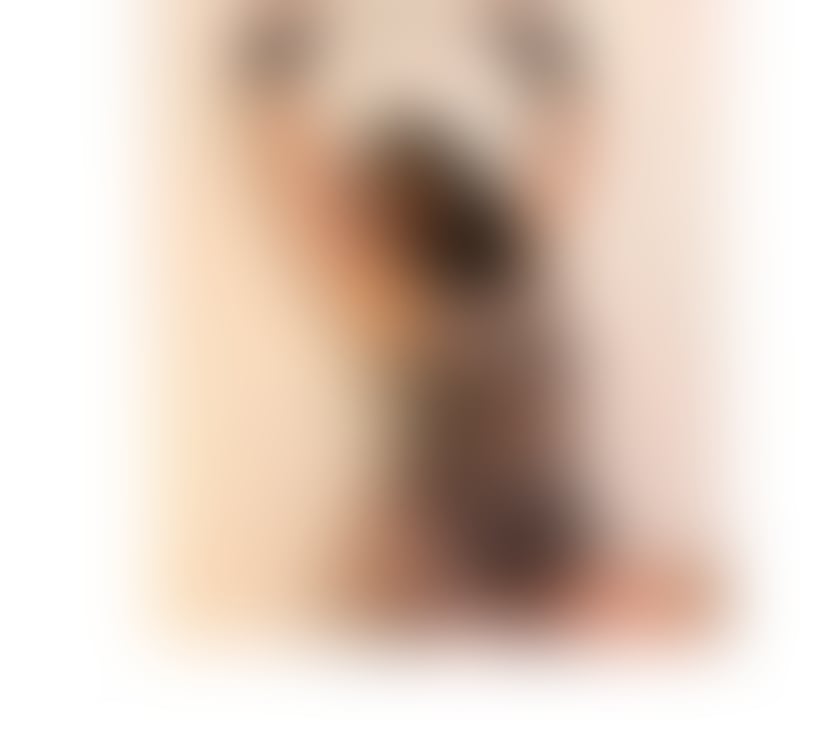 Escorts Bristol Easton - Bristol - Photos for Luna 07951269823