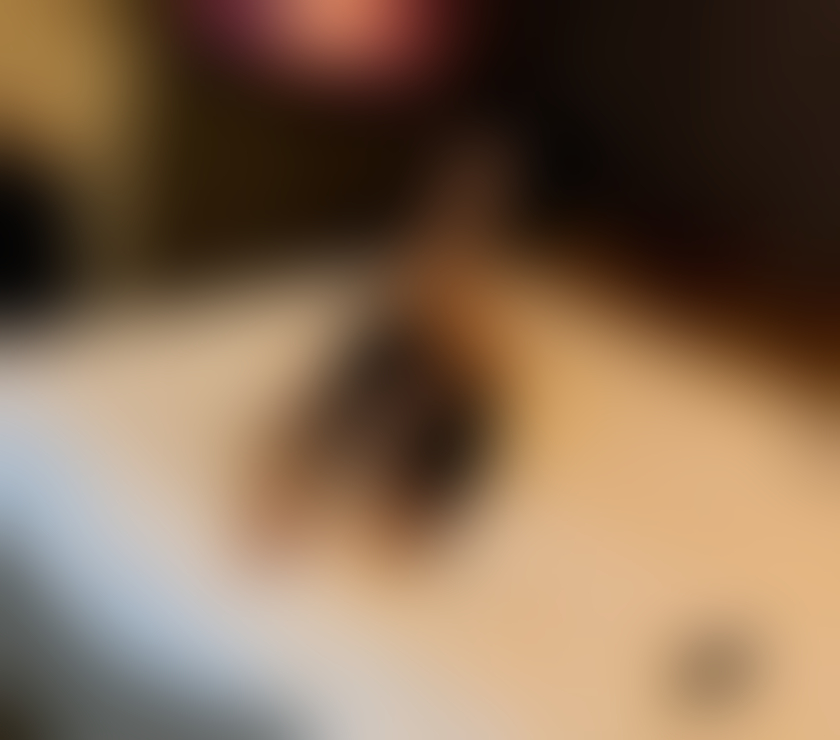 Escorts Bedfordshire Luton - Photos for ‼️💯 REAL🔥OUTCALL😍🍫