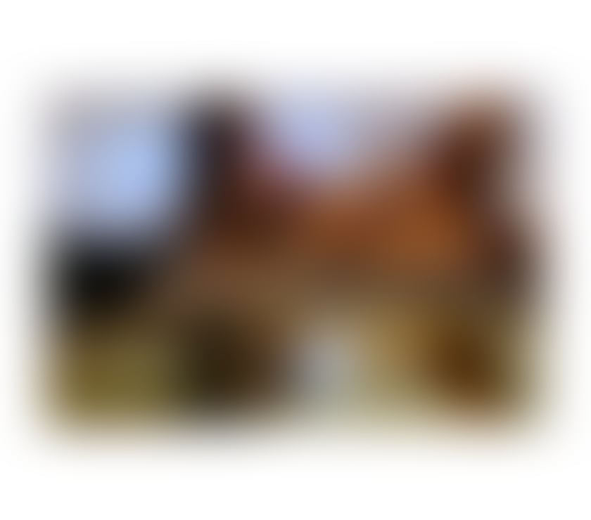 Escorts West London Hillingdon - Photos for 🌟🌟 RAFAELA - PARTY GIRL🌟🌟 🍑 in the city💦