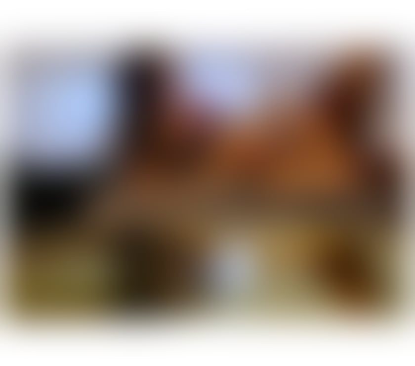 Escorts West London Hounslow - Photos for 🌟🌟 RAFAELA - PARTY GIRL🌟🌟 🍑