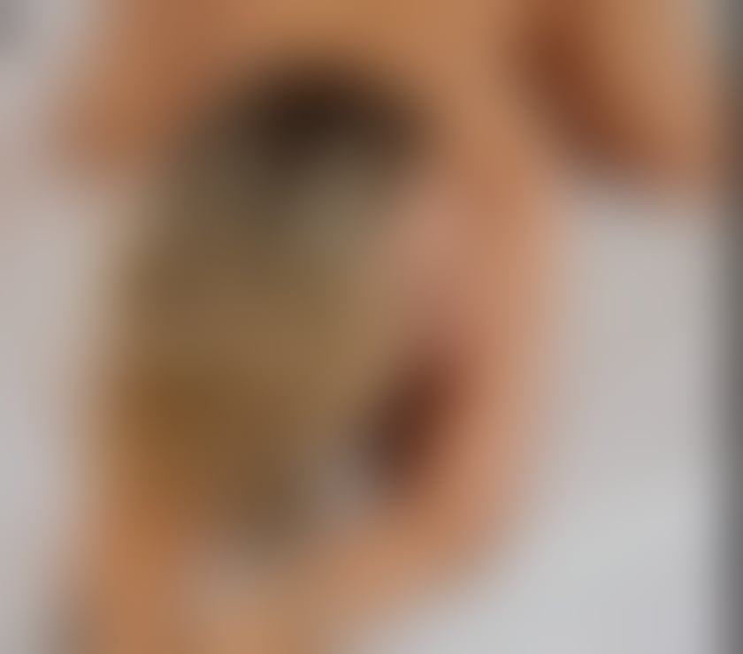 Escorts Belfast Belfast City Centre (South) - Belfast - Photos for Gorgeous blonde stunning 100% genuine!!!