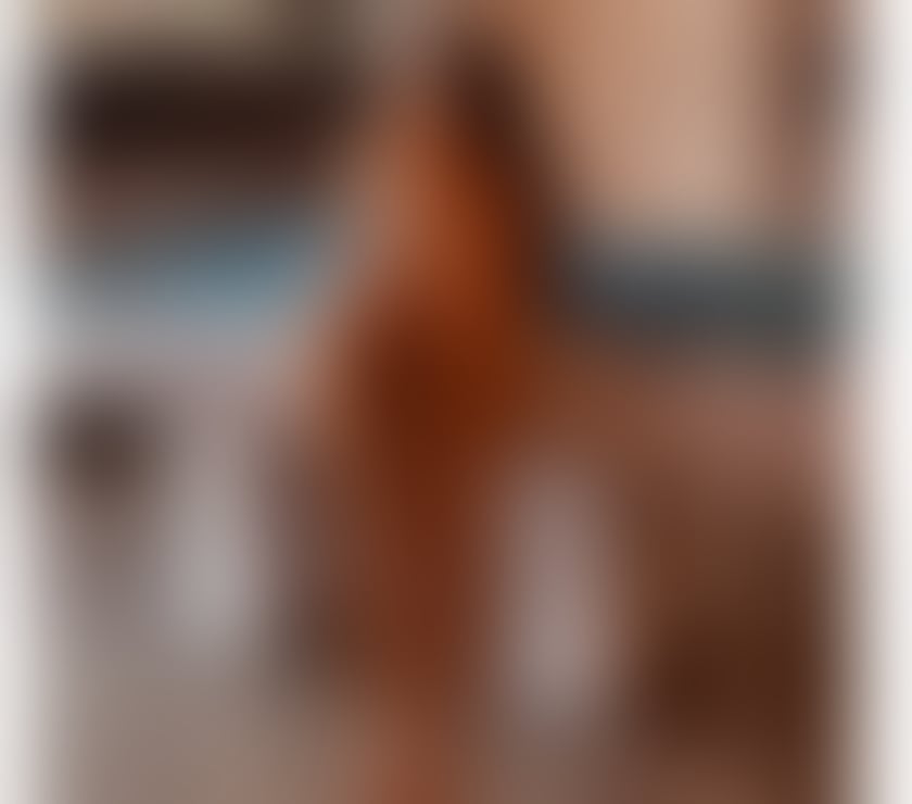 Escorts Hertfordshire St. Albans - Photos for Isabela Brazilian Model 🔥