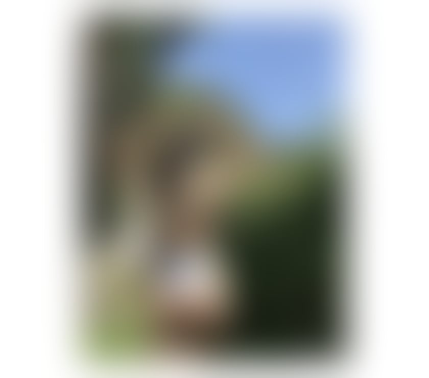 Escorts South West London South Wimbledon - South West London - Photos for 🔥BRUNA 🔥NEW ON THE AREA ❤REAL💯